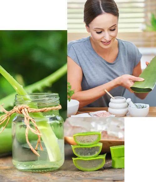 L'ALOE VERA, LA PLANTE A INTEGRER A VOTRE REGIME ALIMENTAIRE